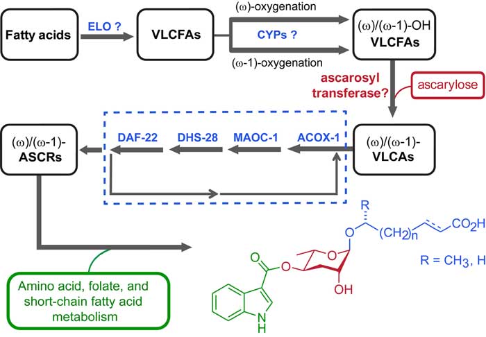  figure 14