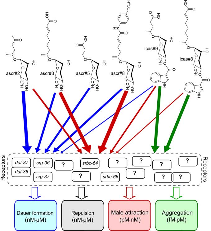  figure 15