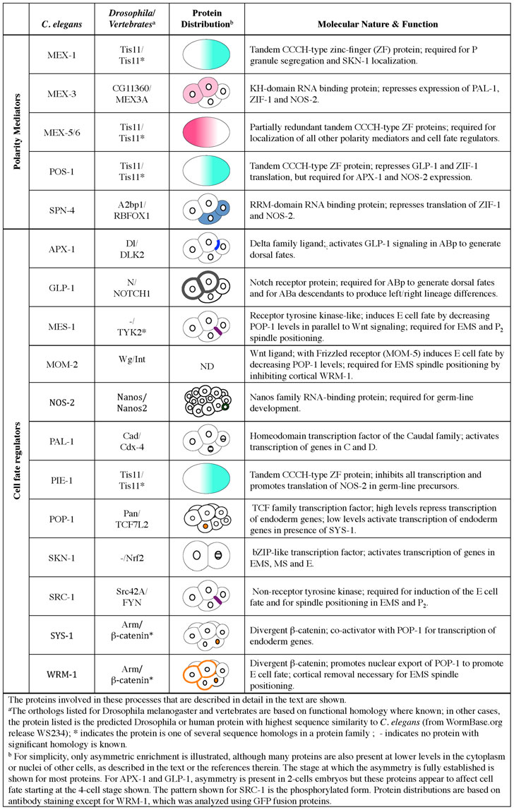 table 3