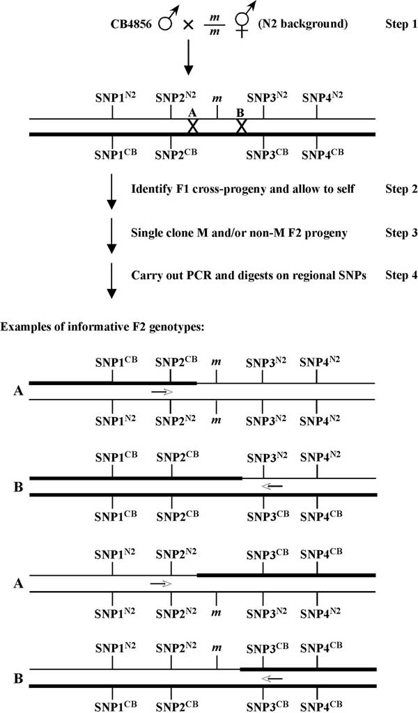 figure 15