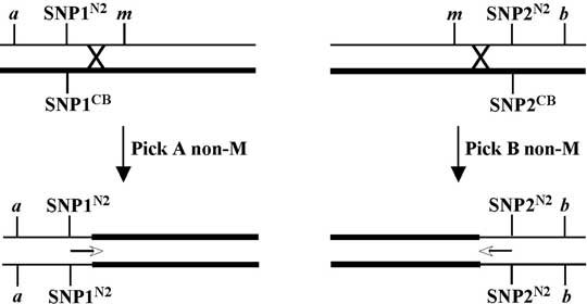 figure 18