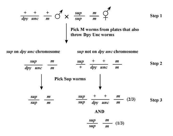 figure 23