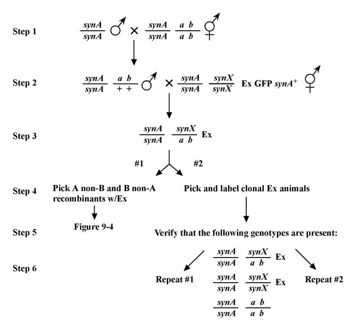 figure 26