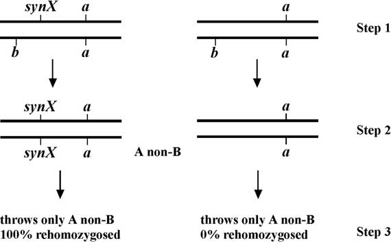 figure 27