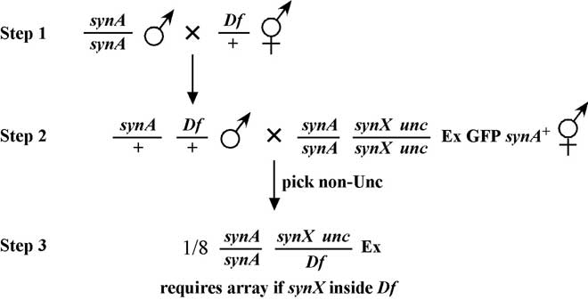 figure 28