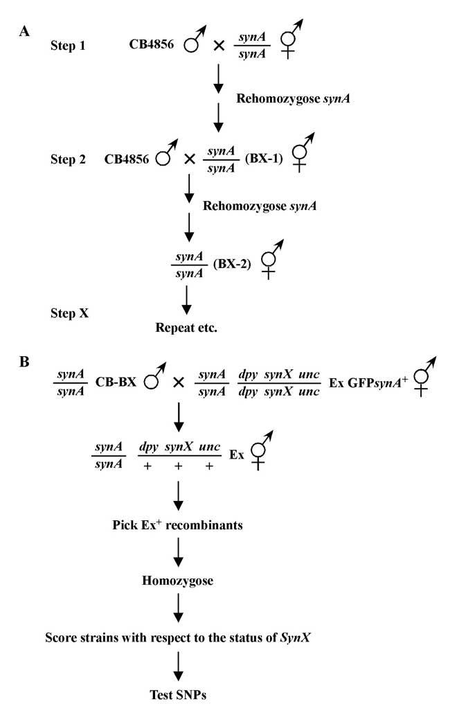 figure 29