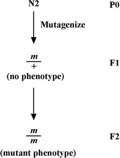 figure 30