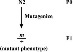 figure 31