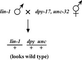 figure 32