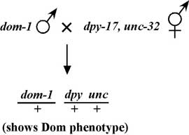 figure 33