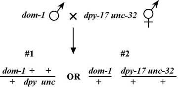 figure 34