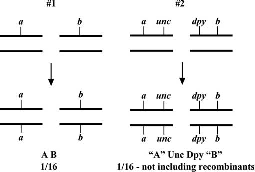 figure 35