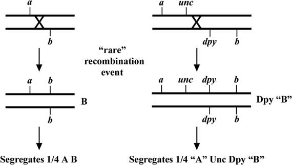 figure 36