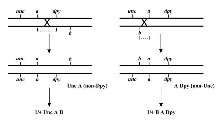 figure 37