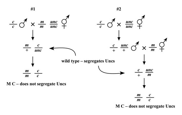 figure 38