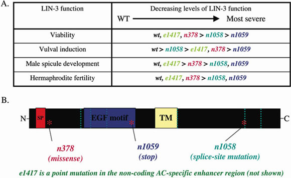  Yook complementation fig 2