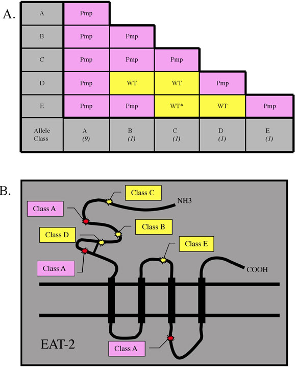  Yook Complementation figure 5