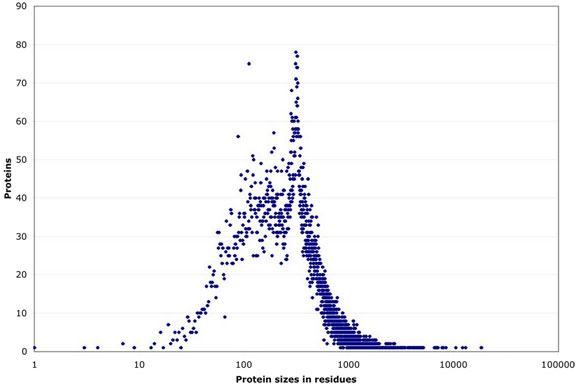 Generation of founder cells in the early embryo