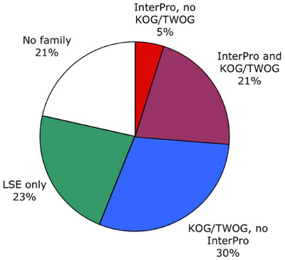 Generation of founder cells in the early embryo