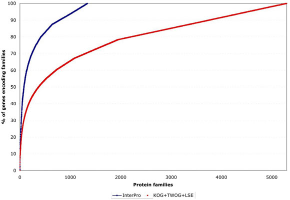 Generation of founder cells in the early embryo