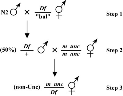  Mapping with deficiencies and duplications Figure 6-2