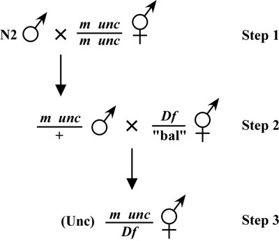  Mapping with deficiencies and duplications Figure 6-3