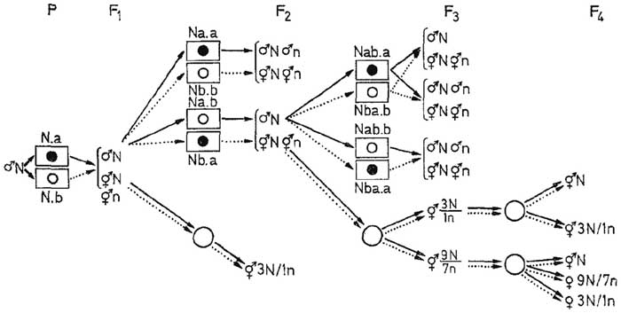  figure 17