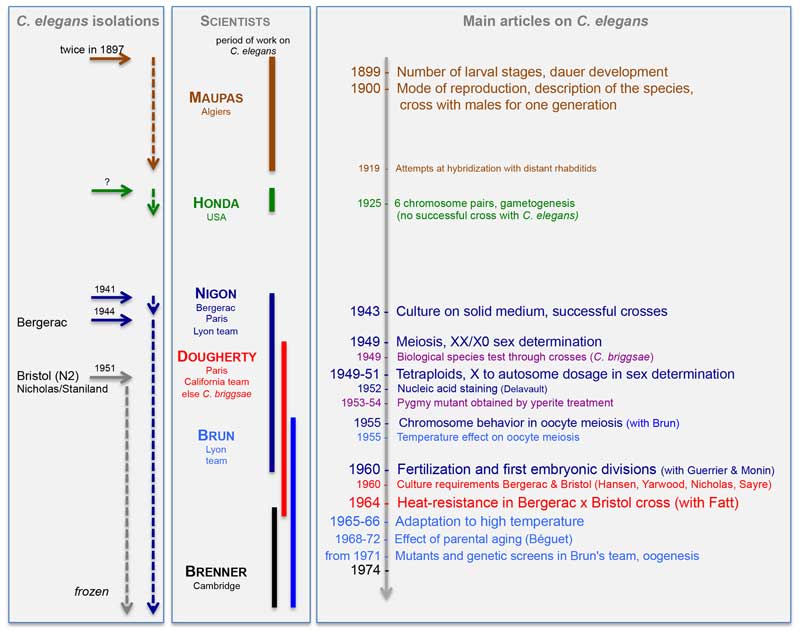  figure 20