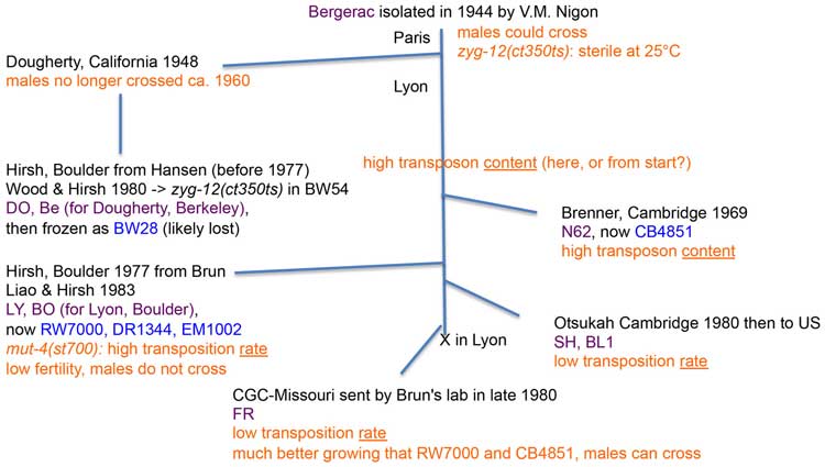  figure 23