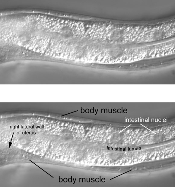 A view just right of the central focal plane figure 24