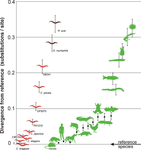  figure 6A