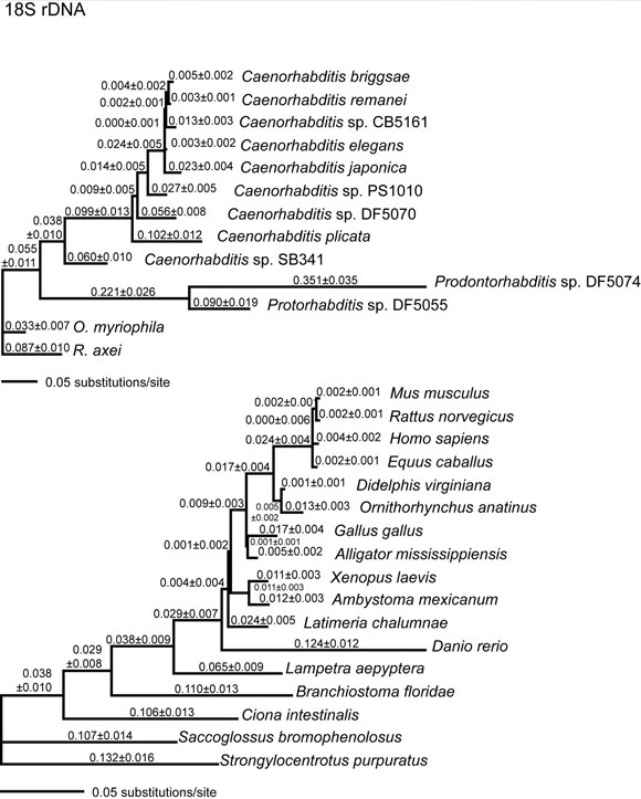  figure 6A