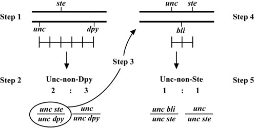 three-point mapping with genetic markers Figure 3-4